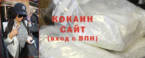 гашик Козловка