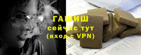 гашик Козловка