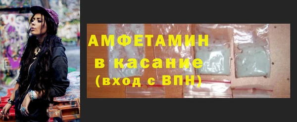 гашик Козловка