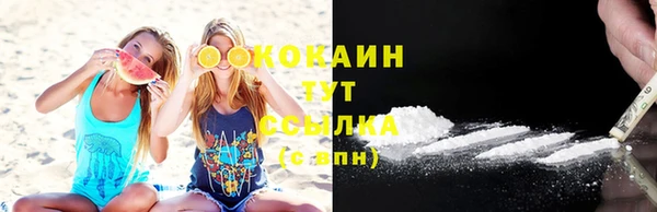 гидропоника Кодинск