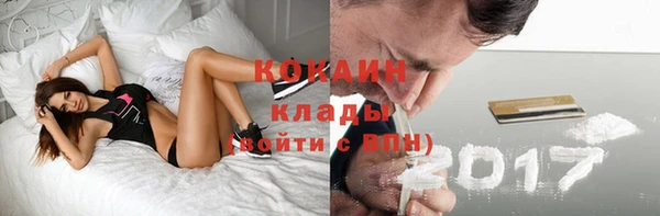 гашик Козловка