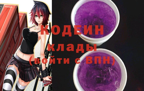 гашик Козловка