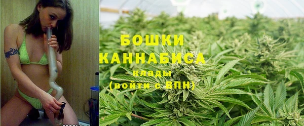 гидропоника Кодинск
