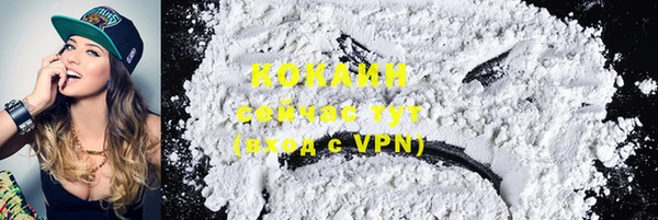 гидропоника Кодинск