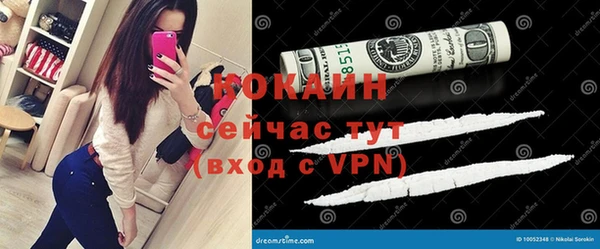 гашик Козловка