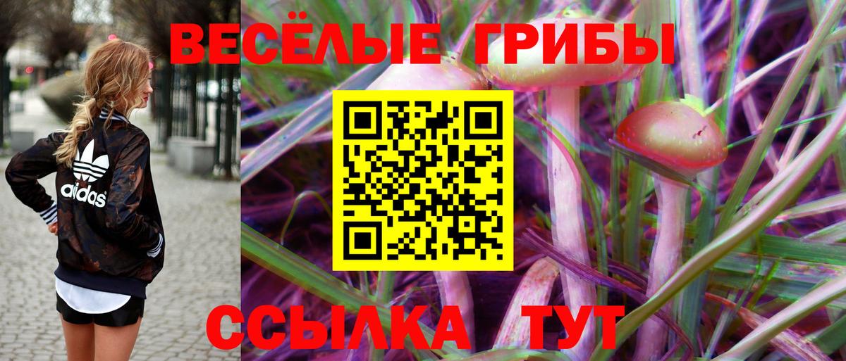 Галлюциногенные грибы мухоморы Арзамас