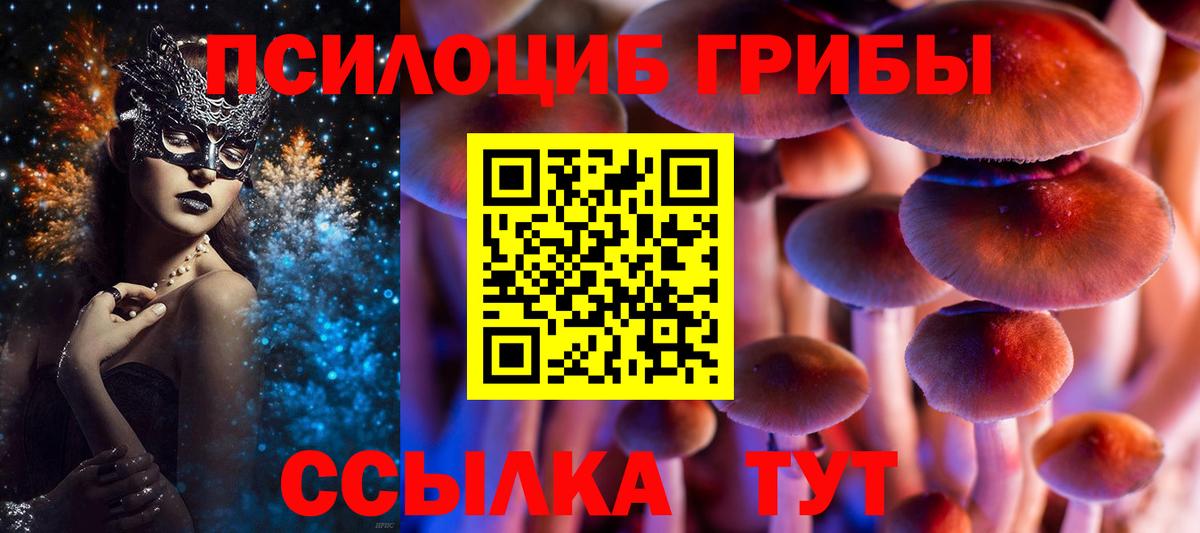 Арзамас  Псилоцибиновые грибы ЛСД  Вход с VPN 